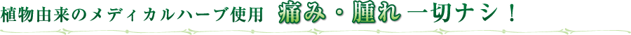 植物由来のメディカルハーブ使用 痛み・腫れ一切ナシ!